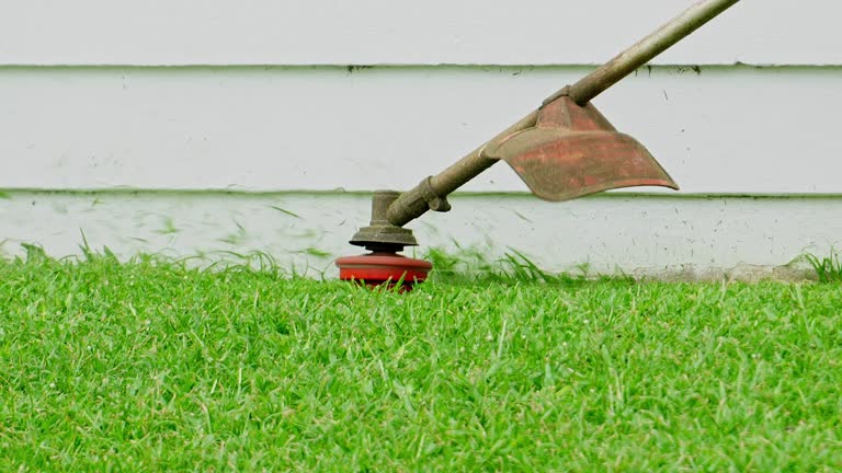 Best Aeration Services  in Palo Alto, CA