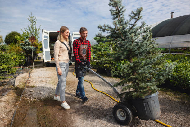 Best Lawn Grading and Leveling  in Palo Alto, CA